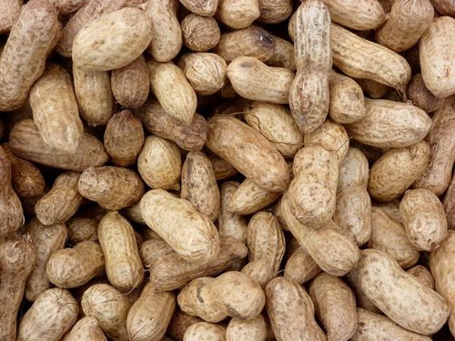 peanuts